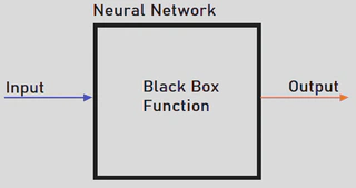 RNN Black Box