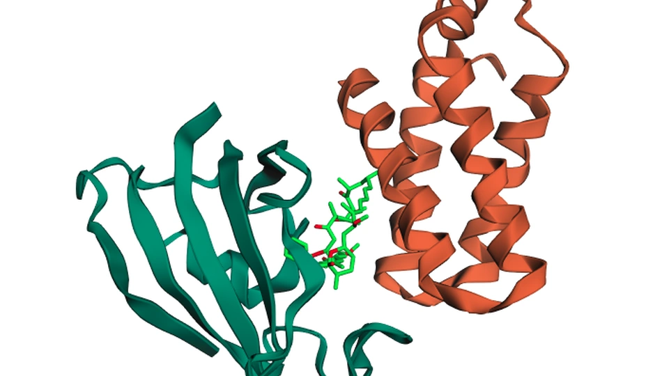 AI-driven drug discovery with transformer models