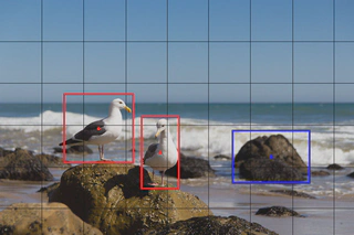 YOLO-Objekterkennung-Raster