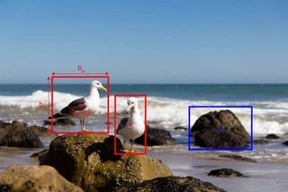 YOLO-Objekterkennung