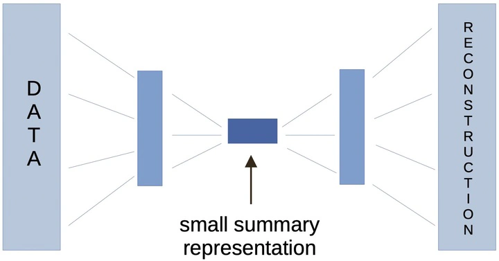 Koehn AI conducted a research project